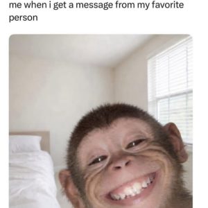 Stupid Bar Memes aqyML4Zssb