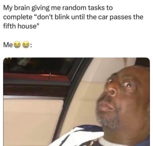 Stupid Bar Memes avyqz7bssb