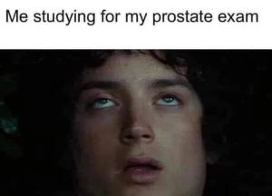 Stupid Bar Memes ayNAZeqssb