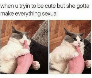 Stupid Bar Memes azxy1Epssb