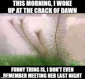 Stupid Bar Memes azxzvoZssb