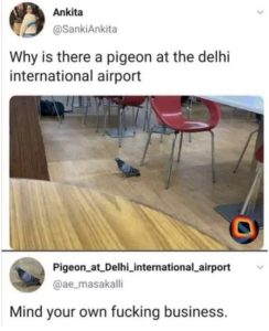 Stupid Bar Memes cf4e63af92