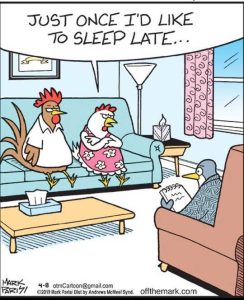 Stupid Bar Memes chickensratristsjus