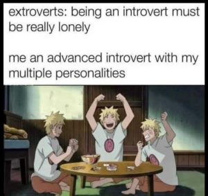 Stupid Bar Memes extroverva
