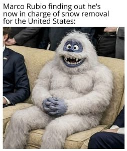 Stupid Bar Memes fc0cf2fd92d
