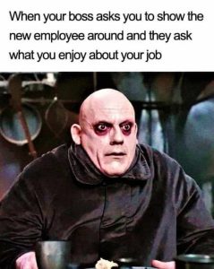 Stupid Bar Memes festersnossswhatsen