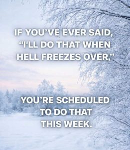 Stupid Bar Memes ifssaidshellersschedu