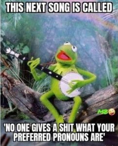 Stupid Bar Memes kermitsessshtspre
