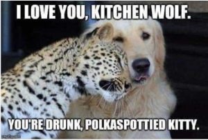 Stupid Bar Memes lovewolfsdogsdrunk