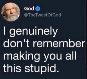Stupid Bar Memes mbersmaking