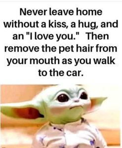 Stupid Bar Memes messahomeswithout