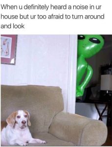 Stupid Bar Memes nsaroundsd