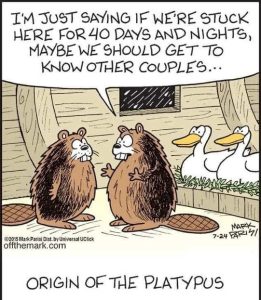 Stupid Bar Memes origiaverssducks