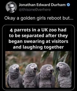 Stupid Bar Memes ots4suksparro