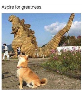 Stupid Bar Memes rsgreatnesssdog