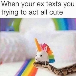 Stupid Bar Memes utessnakesunicorn