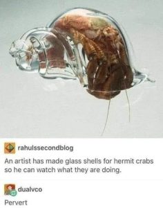 Stupid Bar Memes 10094fd