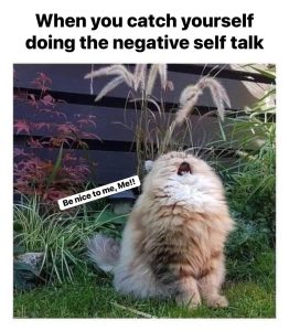 Stupid Bar Memes 112s55526