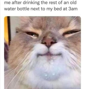 Stupid Bar Memes 267s45033