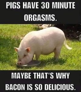 Stupid Bar Memes 3735d7ac
