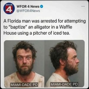 Stupid Bar Memes 44c278e97