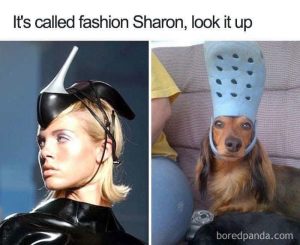 Stupid Bar Memes 48476s71034