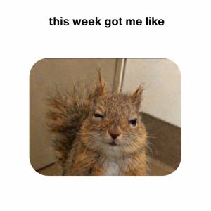 Stupid Bar Memes 63231318s7129