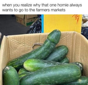 Stupid Bar Memes 6343s53238