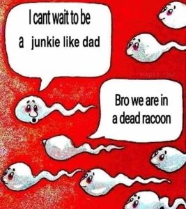 Stupid Bar Memes 636s26751
