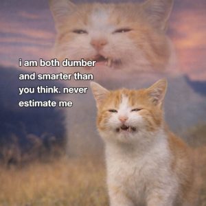Stupid Bar Memes 6789s373
