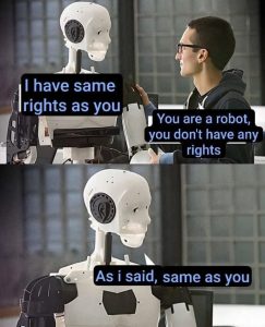 Stupid Bar Memes 6d77a24