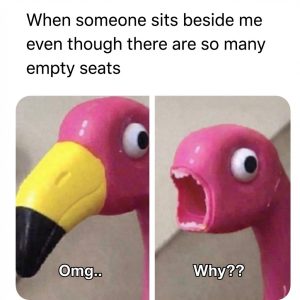 Stupid Bar Memes 84s70414