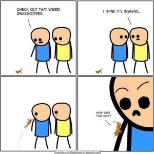 Stupid Bar Memes 92670916