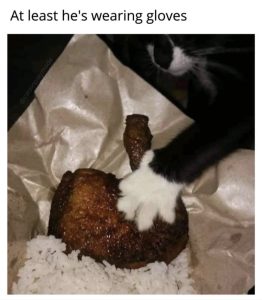 Stupid Bar Memes a0eg3gqssb