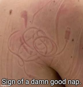 Stupid Bar Memes a0eqpoOssb