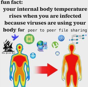 Stupid Bar Memes a6Z672Lssb