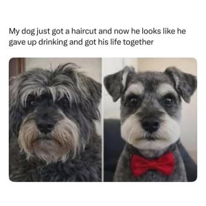 Stupid Bar Memes a87O8QVssb