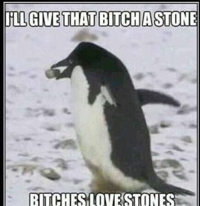 Stupid Bar Memes a9yw0Pmssb