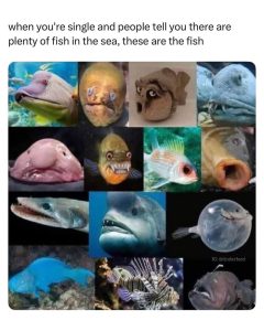 Stupid Bar Memes a9ywVqjssb