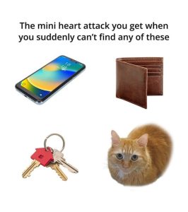 Stupid Bar Memes aAyAOVLssb 1