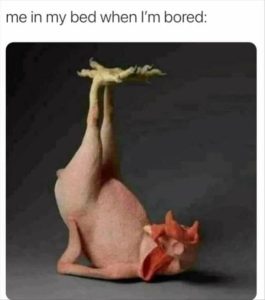 Stupid Bar Memes aBy5Y6Qssb