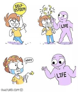 Stupid Bar Memes aBy5rRNssb