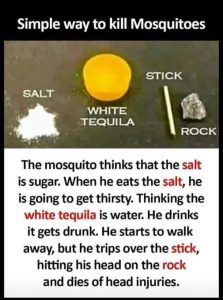 Stupid Bar Memes aD25AOOssb