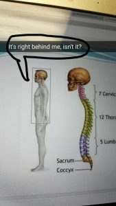 Stupid Bar Memes aD25b99ss