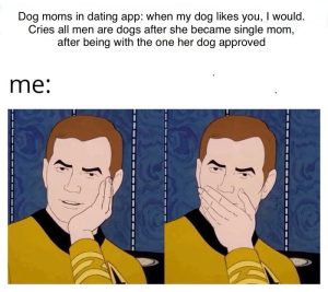 Stupid Bar Memes aGyvoW5ssb