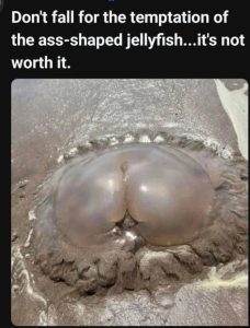 Stupid Bar Memes aLnoZzgssb