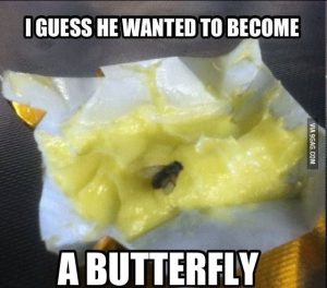 Stupid Bar Memes aO851o6ss