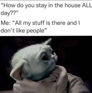 Stupid Bar Memes aVv5zoKssb