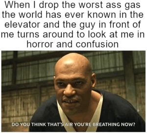 Stupid Bar Memes aYQ51V2ss