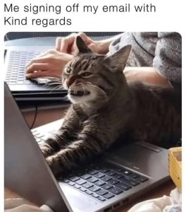 Stupid Bar Memes aYQ63z7ssb